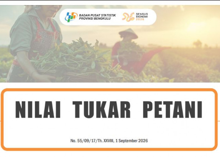 NTP Bengkulu Tembus 203,27, Petani Perkebunan Jadi Pengungkit Terbesar
