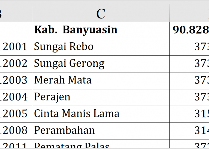 Wow! Dana Desa 2026 Banyuasin Tembus Rp90,8 Miliar, Ratusan Desa Dapat Rp373 Juta Deskripsi: