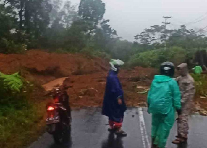 Kondisi Terkini ! Longsor Tutup Badan Jalan yang Berlangsung di 2 Kabupaten Provinsi Bengkulu