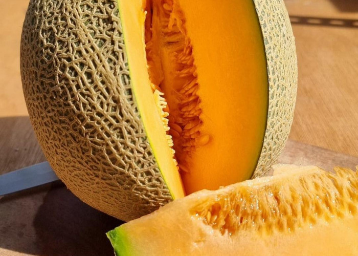 Kaya Nutrisi, Ini 8 Manfaat Buah Melon untuk Kesehatan Tubuh