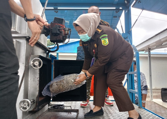 BNNP Bengkulu Musnahkan 2 Kg Ganja Milik Dua Mahasiswa Asal Sumatera Utara