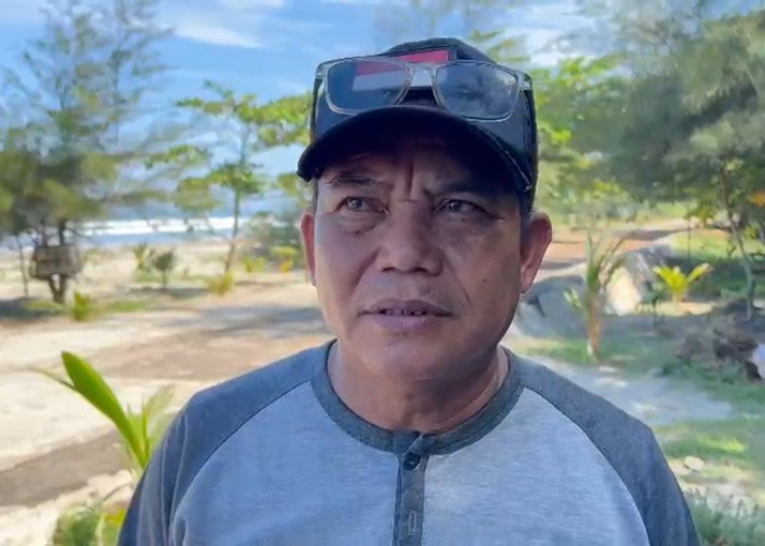 Harga Kresek Naik, Pemkot Bengkulu Dorong UMKM Pakai Daun Pisang dan Kemasan Alami