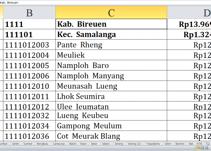 116 Desa di Kabupaten Bireuen Provinsi Aceh Raih Dana Insentif Desa Tahun 2024