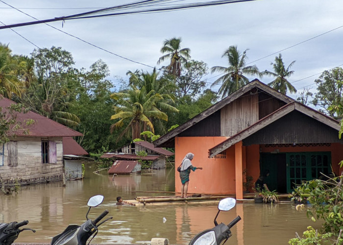 Update Banjir Kota Bengkulu: 16 Lokasi Terendam, Kawasan Pesisir Sungai Paling Parah