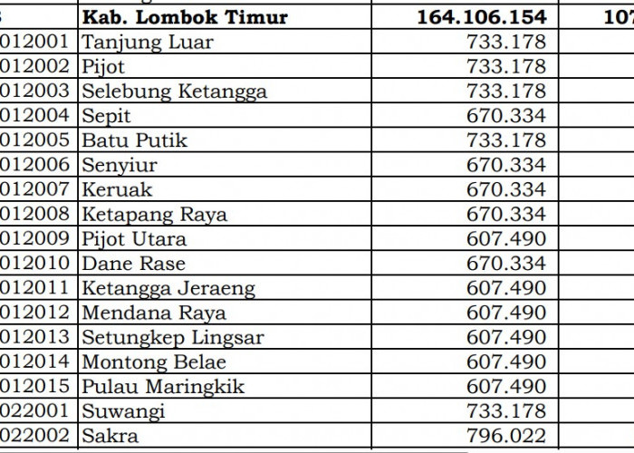 Dana Desa 2024 Lombok Timur, NTB: Cek Rinciannya di Sini