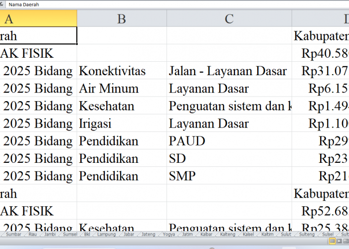 Rincian Pagu Dana DAK Fisik 2025 untuk Aceh: Kabupaten Gayo Lues, Aceh Barat Daya, Aceh Jaya, dan Lhokseumawe