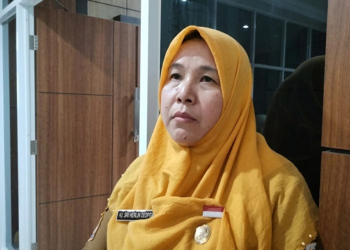 Harga TBS Bengkulu Tembus Rp3.321 per Kg, Pemprov Tegaskan PKS Wajib Patuhi Ketetapan