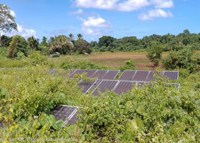 PLTS di Bengkulu Terbengkalai, Pemerintah Dianggap Kurang Serius dalam Transisi Energi