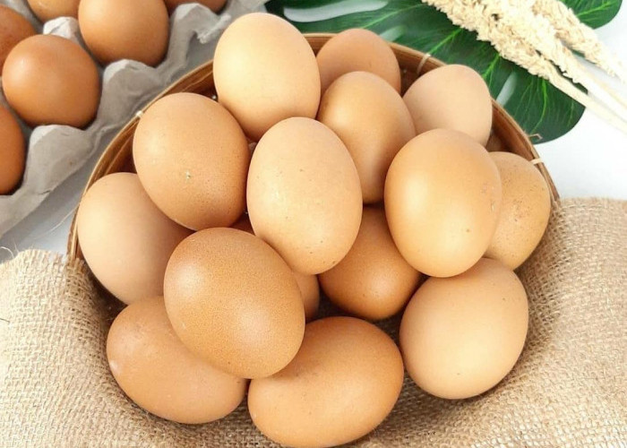 Segudang Manfaat Mengonsumsi Telur Ayam dan Tips Memilih Telur Ayam yang Berkualitas 