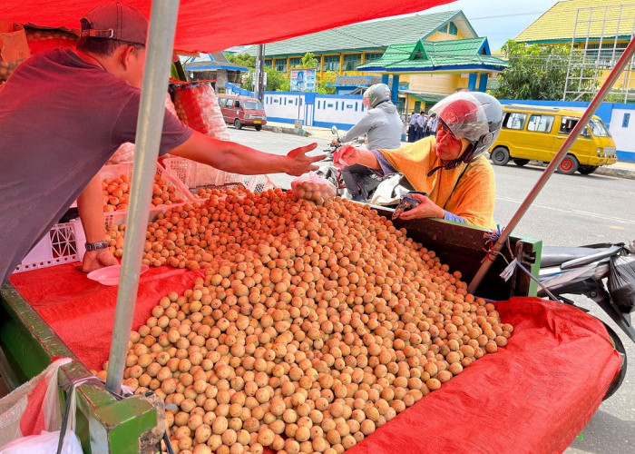 Musim Duku Tiba, Pedagang Raup Untung Hingga 100 Kg per Hari! Kenapa Pembeli Suka Duku yang Ini?