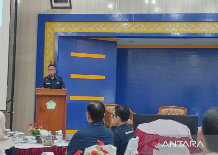 Investasi Rp473 Miliar Siap Masuk Bengkulu, Pabrik Minyak Goreng Jadi Andalan