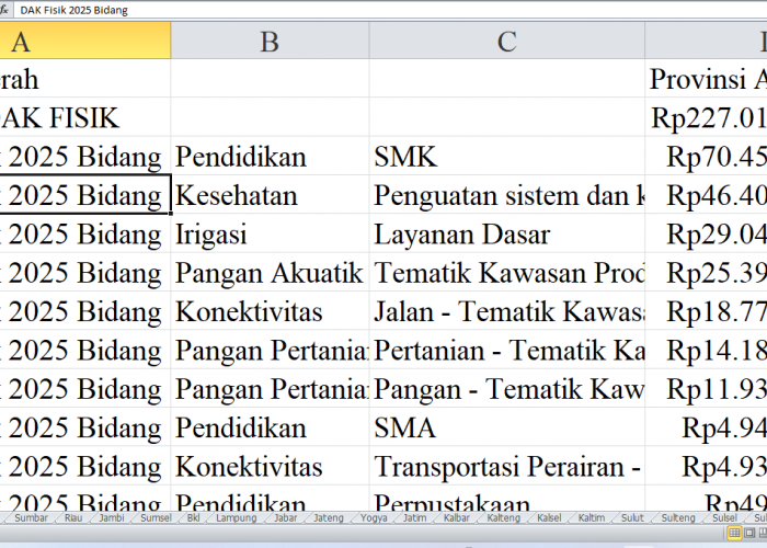 Rincian Pagu Dana DAK Fisik 2025 untuk Aceh: Provinsi Aceh, Kabupaten Pidie, Aceh Selatan, dan Banda Aceh