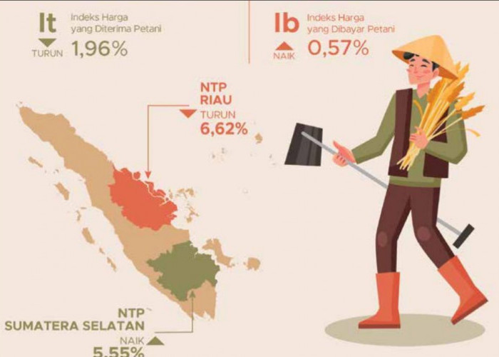 Harga Sayuran Mendongkrak NTP Hortikultura Bengkulu 13,86 Persen, Perkebunan Justru Terpuruk