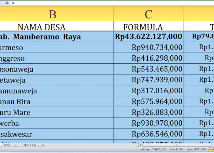 Rp79,8 Miliar Dana Desa 2025 di Mamberamo Raya Provinsi Papua: Lihat Desa dengan Alokasi Tertinggi