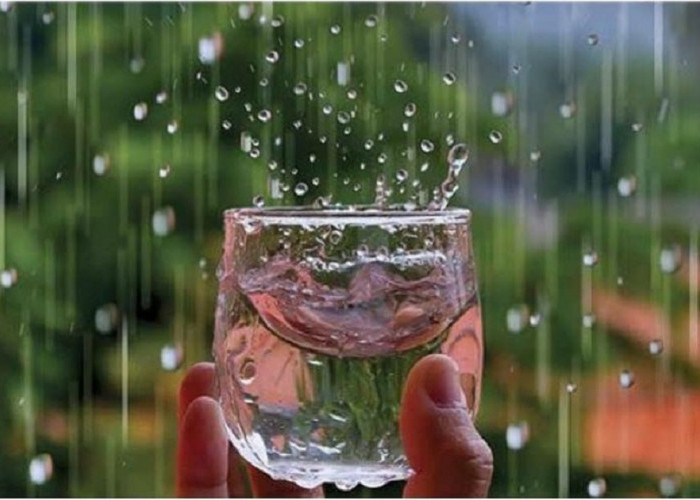 Amankah Air Hujan Dikonsumsi? Begini Penjelasannya