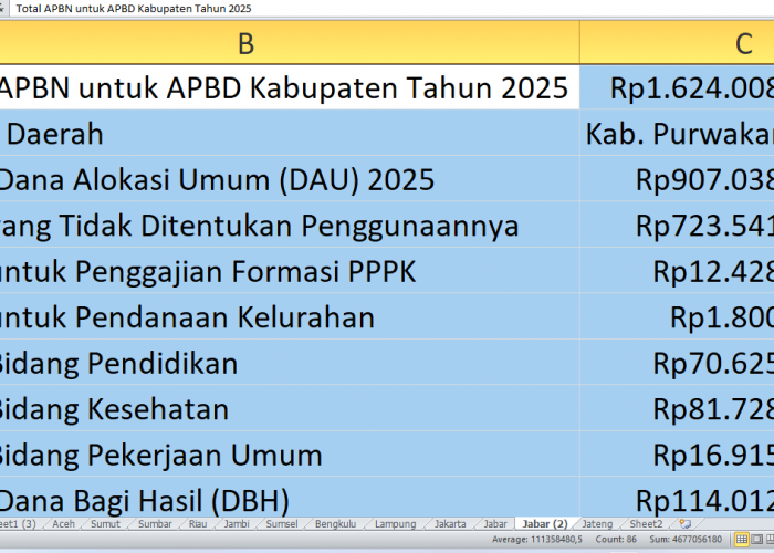 Rp1,62 Triliun dari APBN untuk APBD 2025 Purwakarta: Alokasi Dana Desa, DBH, dan Proyek Fisik