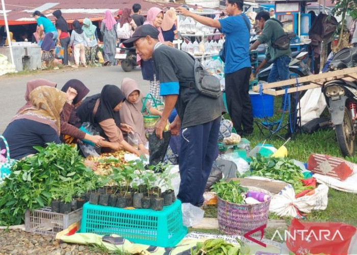 BPS: Harga Cabai, Telur dan Ayam Jadi Kunci Kendalikan Inflasi Bengkulu yang Tembus 3,96 Persen