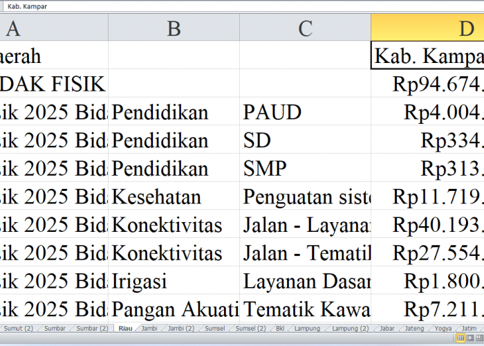 Rincian Pagu Dana DAK Fisik 2025 untuk Riau: Kabupaten Kampar, Kuantan Singingi, Pelalawan dan Rokan Hilir