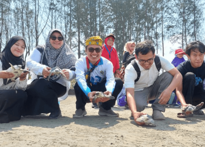 Unib Bantu Pelestari Tukik di Bengkulu Tengah Tingkatkan Kualitas Penangkaran