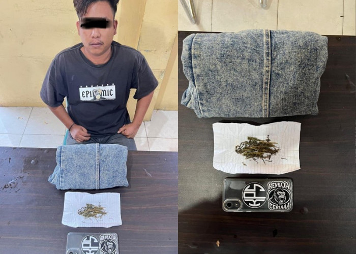 Lagi-Lagi Masuk Bui, Pemuda 21 Tahun Tertangkap Bawa Ganja di Kawasan Sawah Lebar