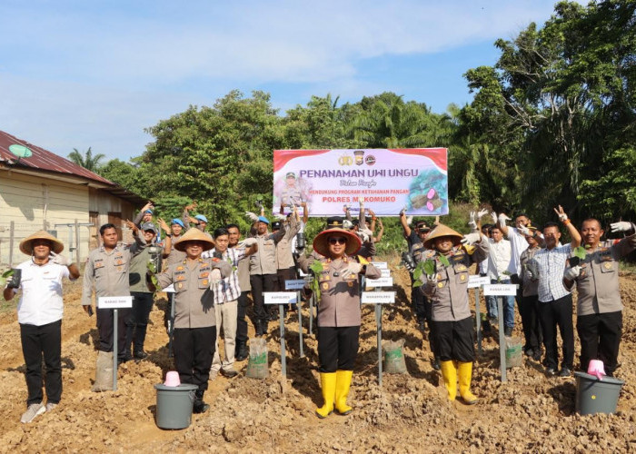 Dukung Ketahanan Pangan Nasional, Polres Mukomuko Tanam Uwi Ungu