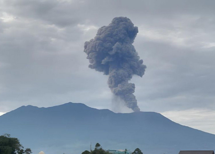 Gunung Marapi di Sumbar Erupsi Senin Pagi, Kolom Abu Mencapai 1,6 Kilometer