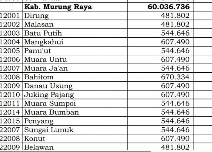 Rincian Dana Desa 2024 Murung Raya, Kalimantan Tengah: Simak Jawabannya di Sini