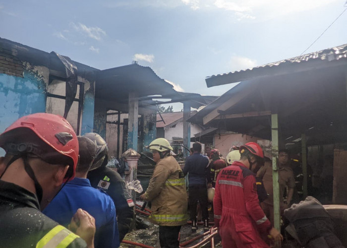 Rumah di Kebun Kenanga Bengkulu Ludes Terbakar, Diduga Berawal dari Pembakaran Sampah dan Kursi Bekas