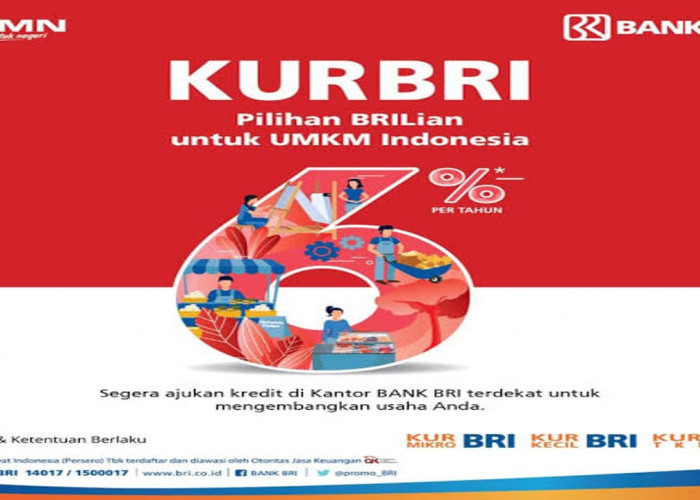 Program KUR BRI: Solusi Finansial Andalan untuk UMKM, Dorong Pertumbuhan Ekonomi Lokal