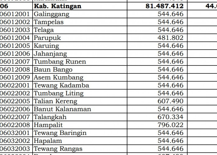 Rincian Dana Desa 2024 Katingan, Kalimantan Tengah: Simak Jawabannya di Sini