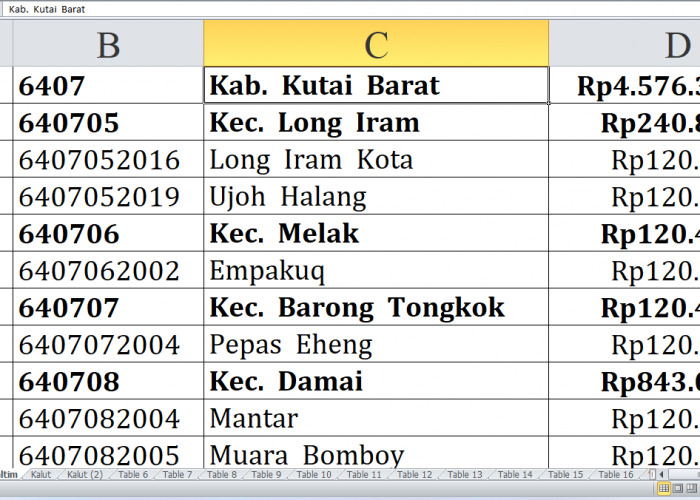 Desa di Kabupaten Kutai Barat, Kutai Timur, Penajam Paser Utara, dan Mahakam Ulu Raih Dana Insentif Desa 2024