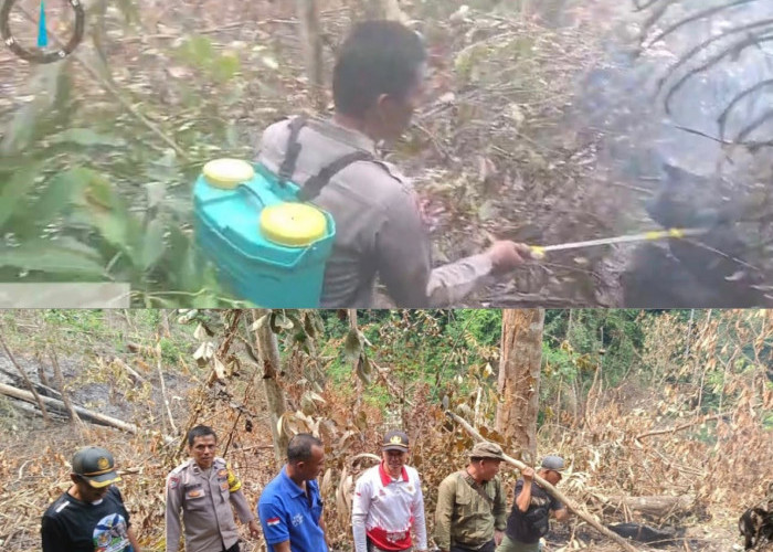 Titik Api Muncul di Sipongi, Polsek Penarik Raya Bergerak Padamkan Karhutla Mukomuko