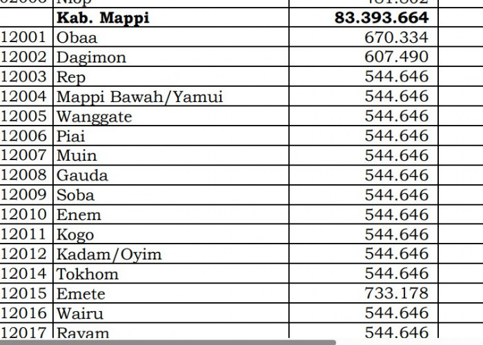 Dana Desa Tiap Desa 2024 di Mappi, Papua Selatan: 89 Desa 1 Miliar