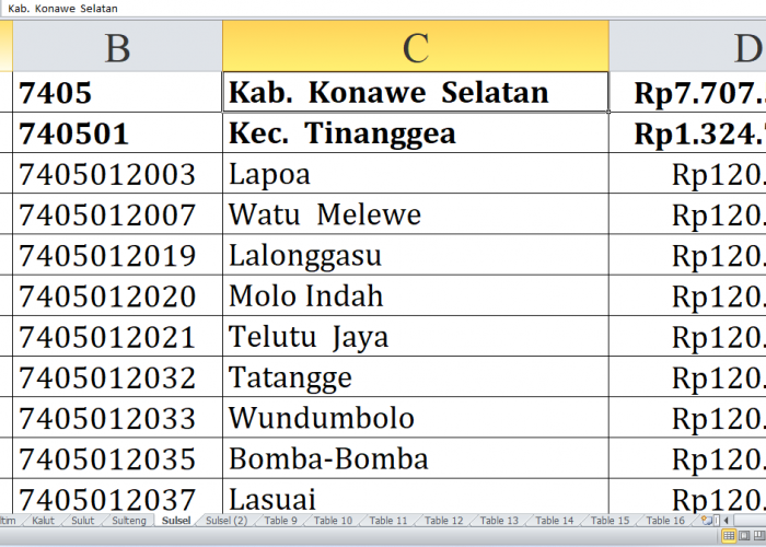 Daftar Desa di Kabupaten Konawe Selatan dan Buton Selatan Raih Dana Insentif Desa Tahun 2024