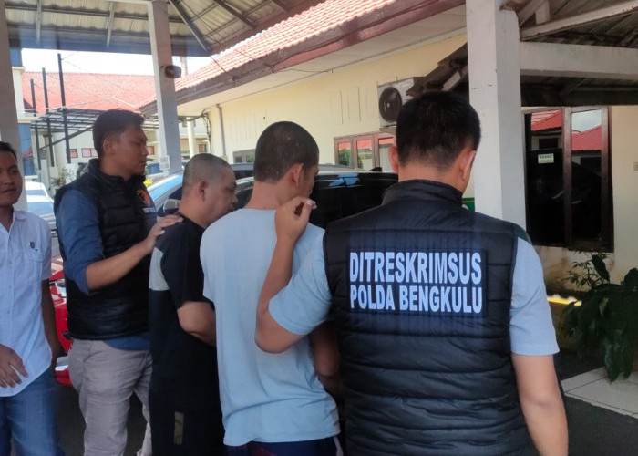 Bibit Sawit Ilegal Bernilai Tinggi Disita, Dua Warga Sumsel Dilimpahkan ke Jaksa