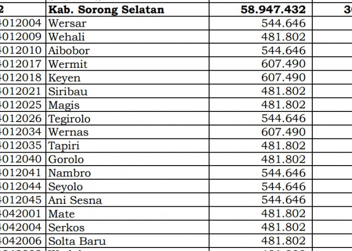 Berapa Rincian Dana Desa 2024 Sorong Selatan: di Sini Lengkapnya