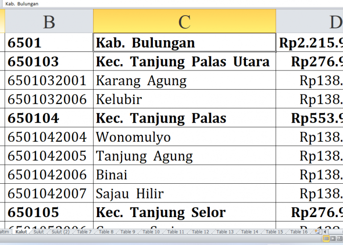 Desa di Kabupaten Bulungan, Malinau, Nunukan, dan Tana Tidung Raih Dana Insentif Desa 2024