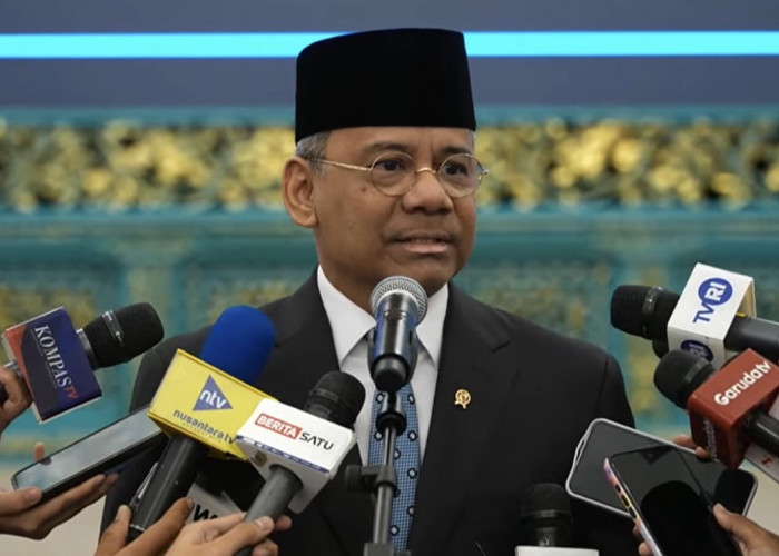 Suahasil Nazara Jadi Menkeu, Ini Profil Lengkapnya