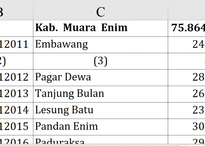 Dana Desa 2026 Muara Enim Capai Rp75,8 Miliar, Ini Daftar Lengkap Alokasi Tiap Desa 