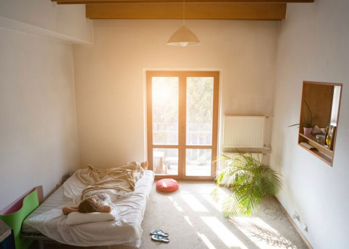 Design Ruangan Kecil Agar Terlihat Luas: Cara Mudah untuk Memaksimalkan Ruang Anda