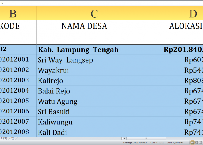 Desa Terbesar Penerima Dana Desa Lampung Tengah Tahun 2025, Total Rp313,08 Miliar: Ini Daftar Lengkapnya