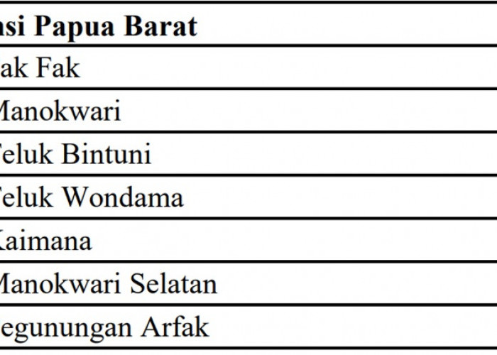 Anggaran Dana Proyek Jalan Tahun 2024 di Provinsi Papua Barat: Ini Rincian per Daerah