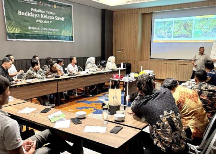 Pelatihan Sawit di Bengkulu Bongkar Penyebab TBS Dihargai Rendah, Bukan Sekadar Soal Pupuk