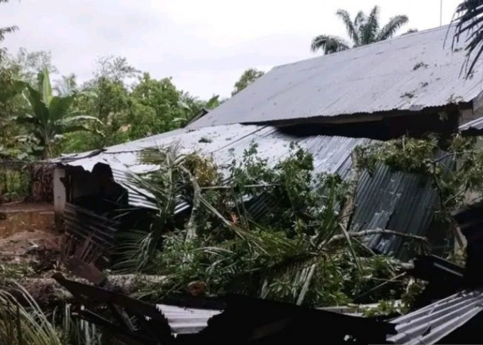 Dinsos Mukomuko Siapkan Bantuan untuk Korban Kebakaran dan Rumah Tertimpa Pohon