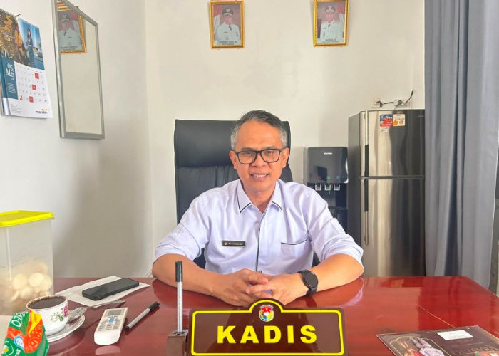 Krisis Dokter Spesialis di Mukomuko, RSUD dan Puskesmas Belum Mampu Penuhi Standar Pelayanan