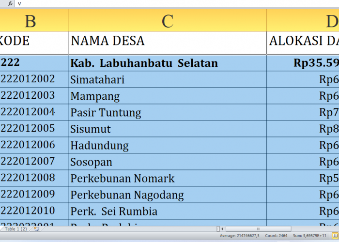 Rincian Dana Desa Tiap Desa Tahun 2025 Labuhanbatu Selatan, Total Rp59,9 Miliar: Ini Desa Terbesar