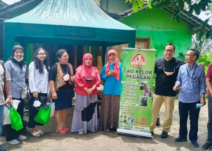 Manfaatkan KUR BRI, Pengusaha Wanita Ini Berhasil Sulap Kelor Jadi Aneka Olahan Pangan yang Digemari