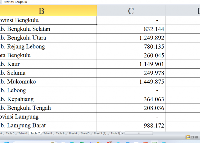 Pagu Dana DAK Fisik 2025 Bengkulu Ditetapkan: Rincian untuk Provinsi, Kabupaten, dan Kota (Bagian 1)