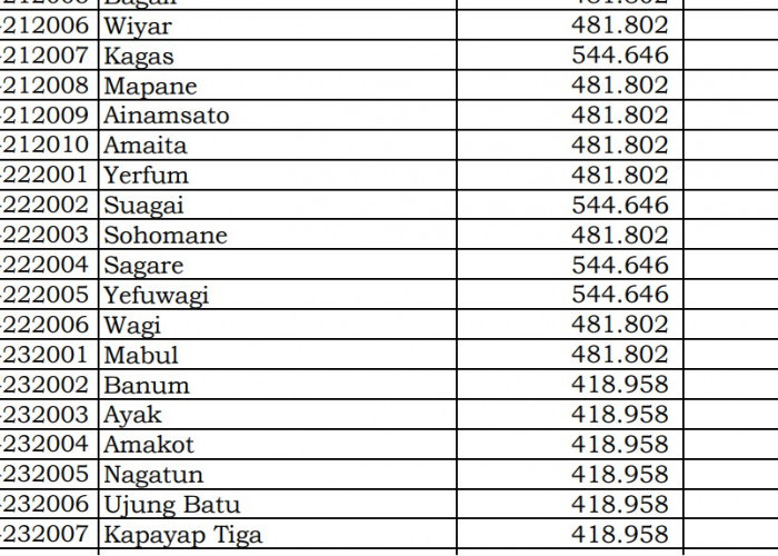 Dana Desa Tiap Desa 2024 Asmat 2, Papua Selatan: Ini Rinciannya