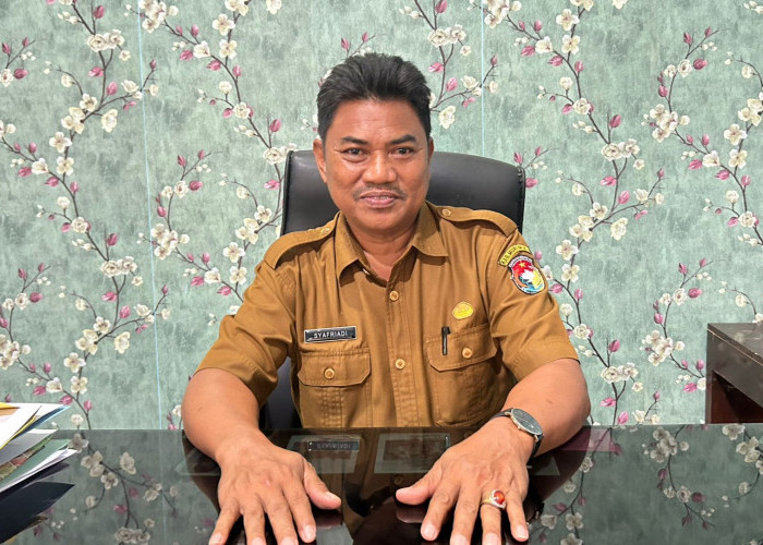 Disperindagkop Mukomuko Pastikan Harga Pangan Awal Juni 2026 Masih Stabil